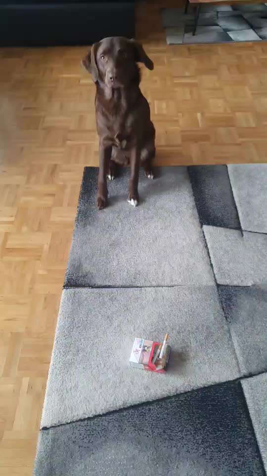 Trick Challenge ABC-Beitrag-Bild