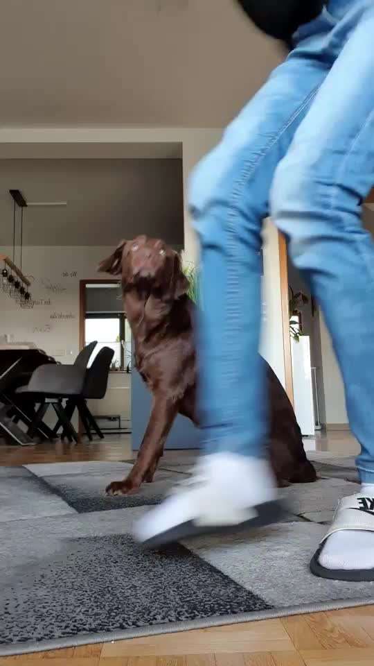 Trick Challenge Nr. 28: Slalom rückwärts-Beitrag-Bild