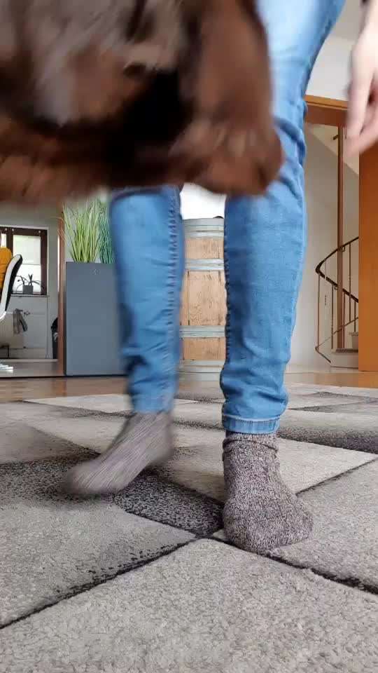 Trick Challenge 24 ,,Elefantentrick"-Beitrag-Bild