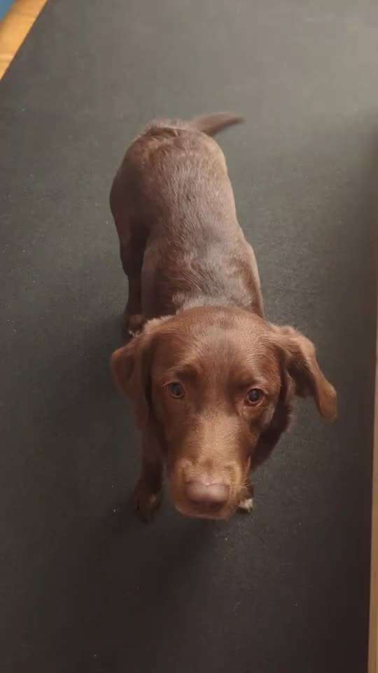 Trick Spiel - Koffer packen - der 16.-Beitrag-Bild