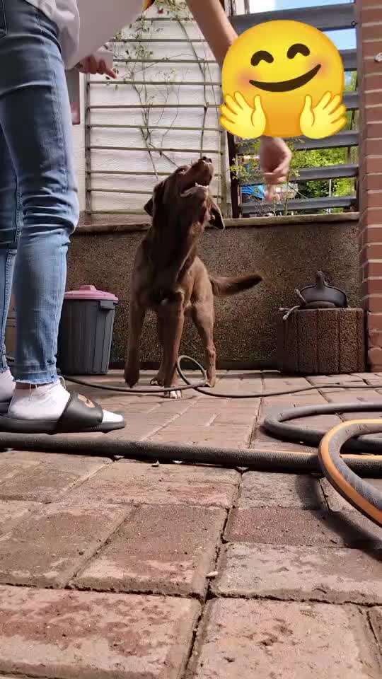 Trick Spiel - Koffer packen -der 22.-Beitrag-Bild