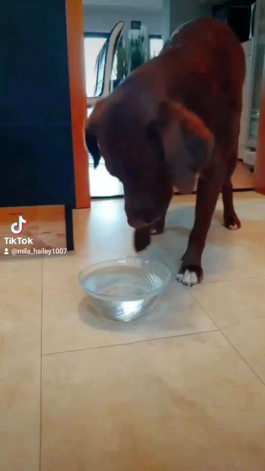 Trick Challenge ABC-Beitrag-Bild