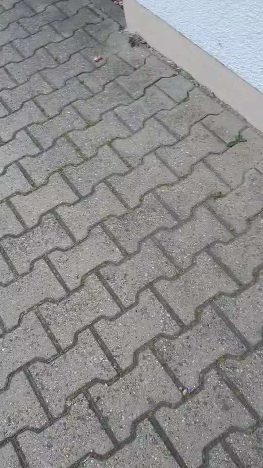 Impulskontrolle-Challenge Nr. 12: 
Begrüßungen-Beitrag-Bild