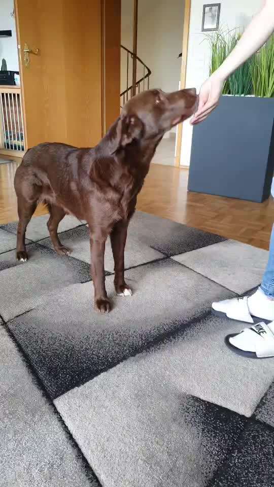 Trick Challenge Nr. 29 ,,TWIST"-Beitrag-Bild