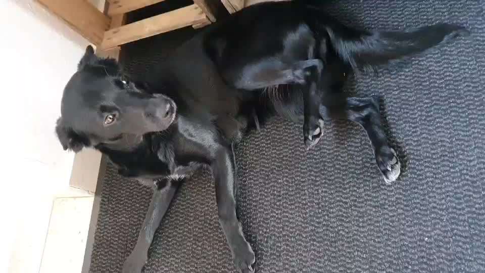 Gebetsstellung-Beitrag-Bild