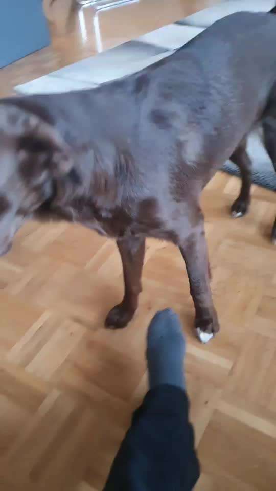 Trick Challenge Nr 27: Socken ausziehen-Beitrag-Bild