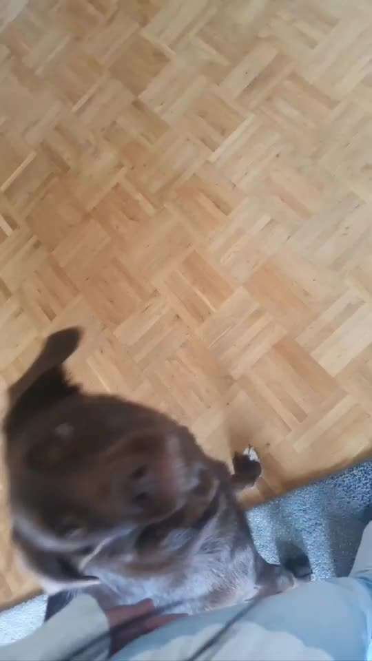 Trick Challenge ABC-Beitrag-Bild