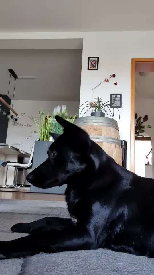 Trick Challenge 13 - Etwas Halten-Beitrag-Bild