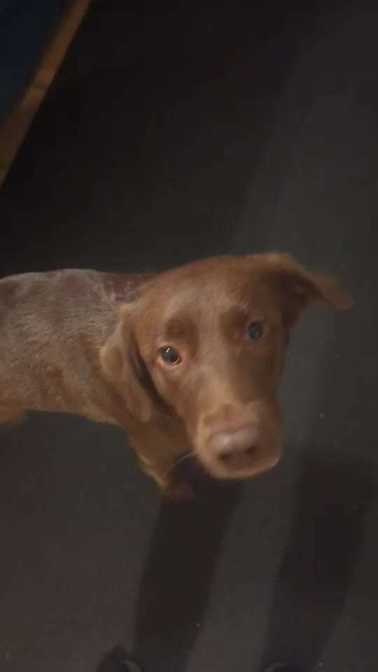 Trick Spiel - ich packe meinen 11. Koffer-Beitrag-Bild