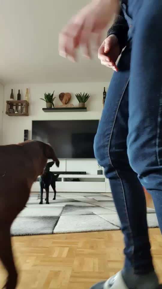 Trick Challenge Nr 6-Beitrag-Bild