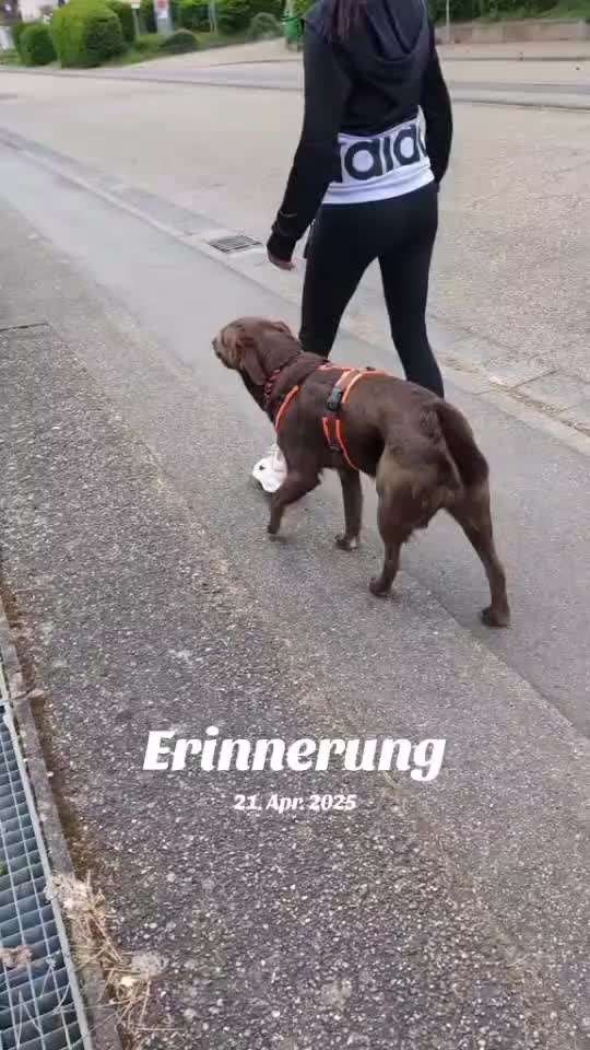 aktuelles Foto Gruppe Trickkiste