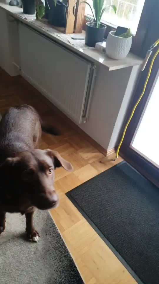 Trick Challenge NR 22 "Ziehen"-Beitrag-Bild