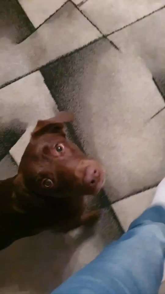 Trick Challenge ABC-Beitrag-Bild