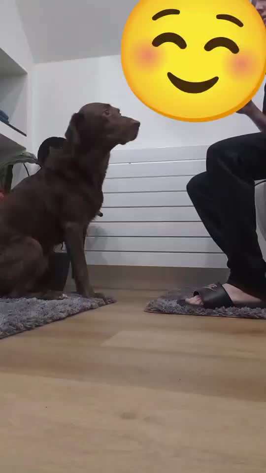 83.Trickspiel Karate-Beitrag-Bild