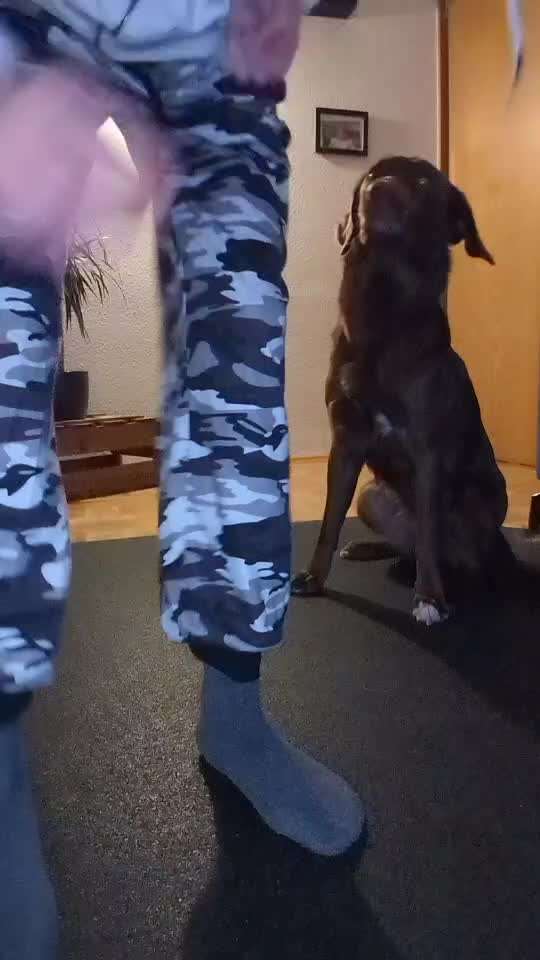 Koffer Packen: Spezial Weihnachtsedition-Beitrag-Bild