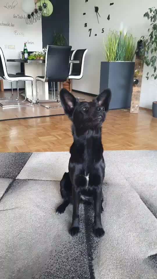 Trick Challenge Nr. 15-Beitrag-Bild