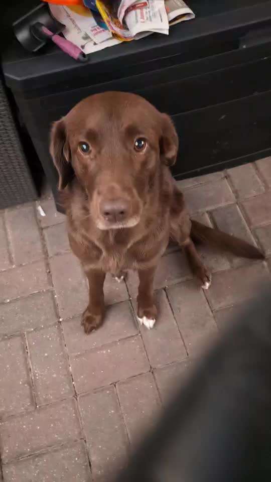 75.Trickchallenge: Bring etwas einer Person-Beitrag-Bild