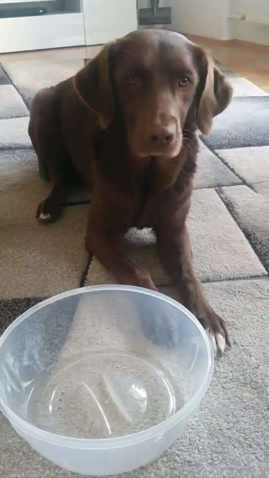 Trick- Challenge Nr. 31 ,Schieben‘-Beitrag-Bild