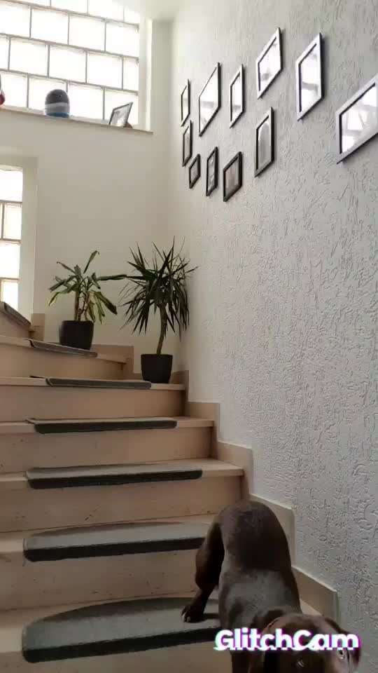 TRICK CHALLENGE NUMMER 30 " ZURÜCK "-Beitrag-Bild