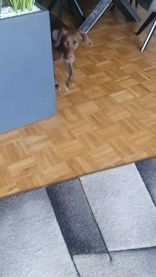 Trick Challenge - ich packe meinen 2. Koffer-Beitrag-Bild