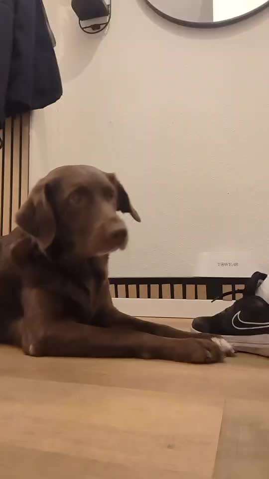 79. Trickspiel: Schuhe/Schleife öffnen-Beitrag-Bild