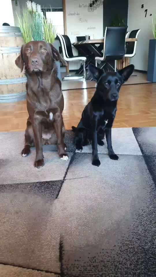 Trick Challenge ABC-Beitrag-Bild