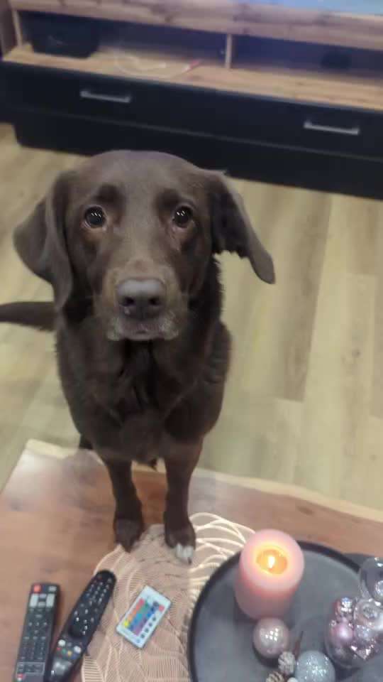 81. Trickspiel Hangeln-Beitrag-Bild