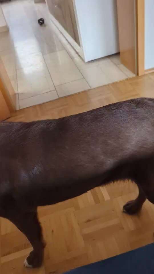 48. Papiertücher ziehen und bringen-Beitrag-Bild