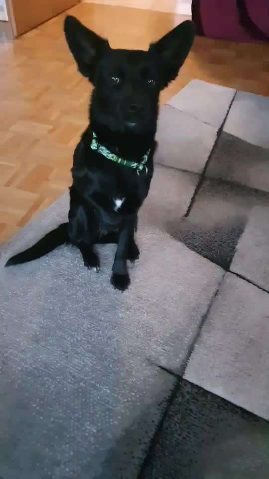 Gebetsstellung-Beitrag-Bild