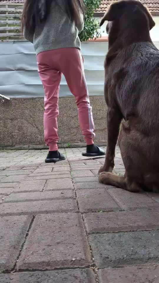 69. Tricktraining: Rücken an Rücken-Beitrag-Bild