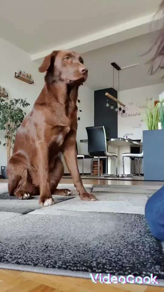 Trick Challenge 13 - Etwas Halten-Beitrag-Bild