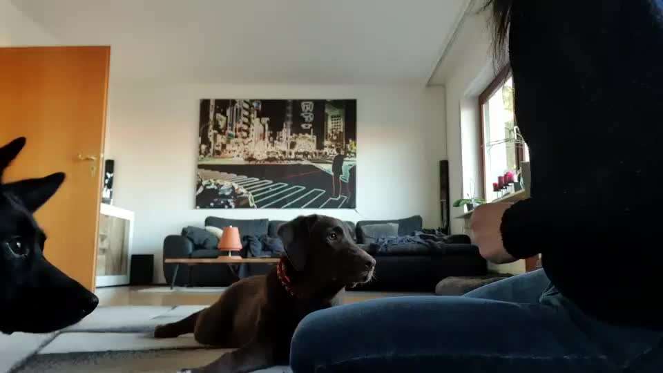 FUN AUFGABEN TOUR-Beitrag-Bild