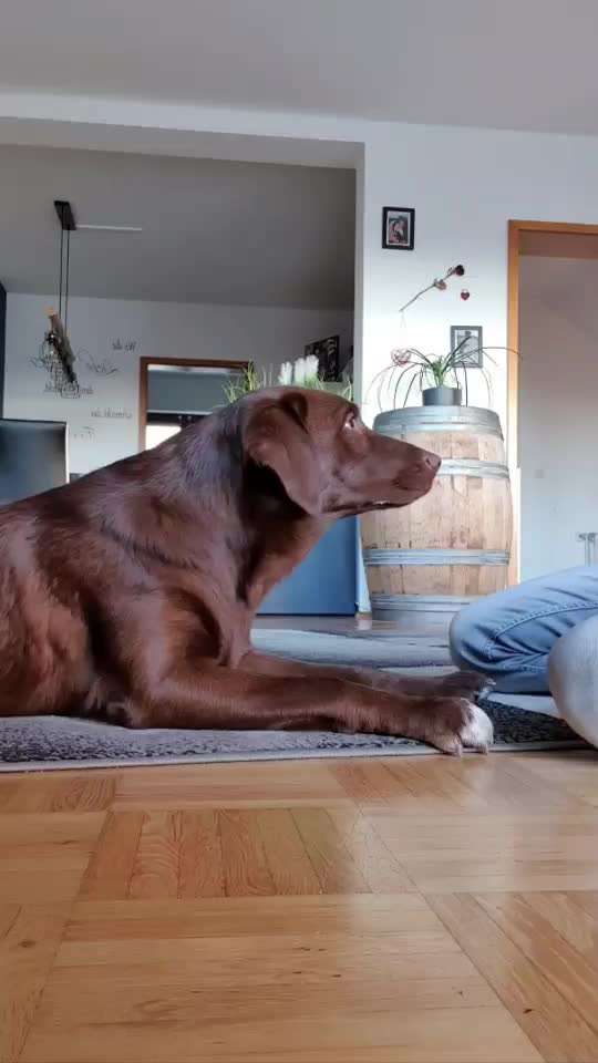 TRICK CHALLENGE NR. 10-Beitrag-Bild