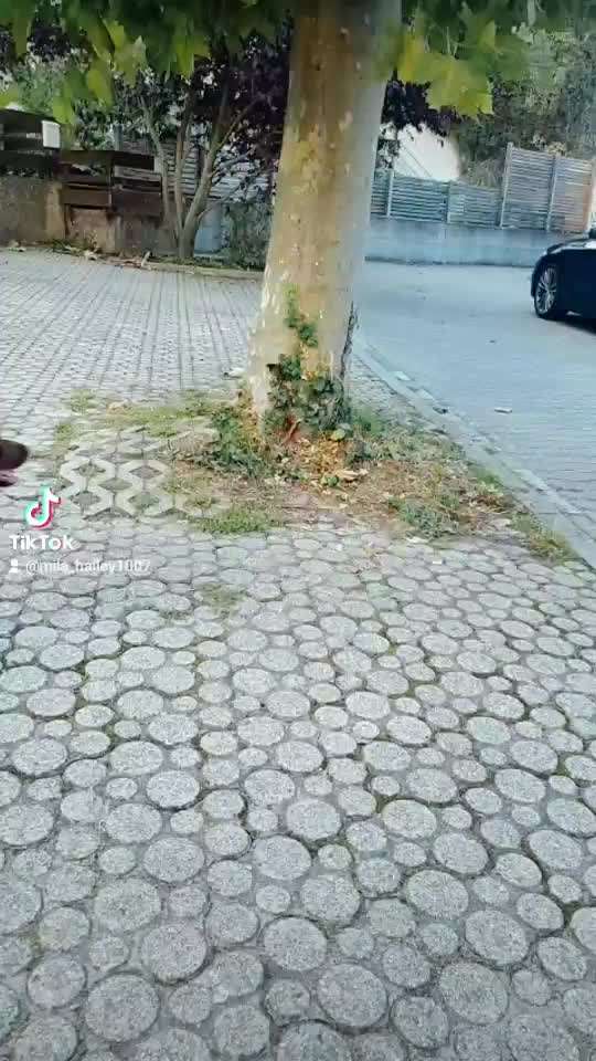 Trick Challenge ABC-Beitrag-Bild