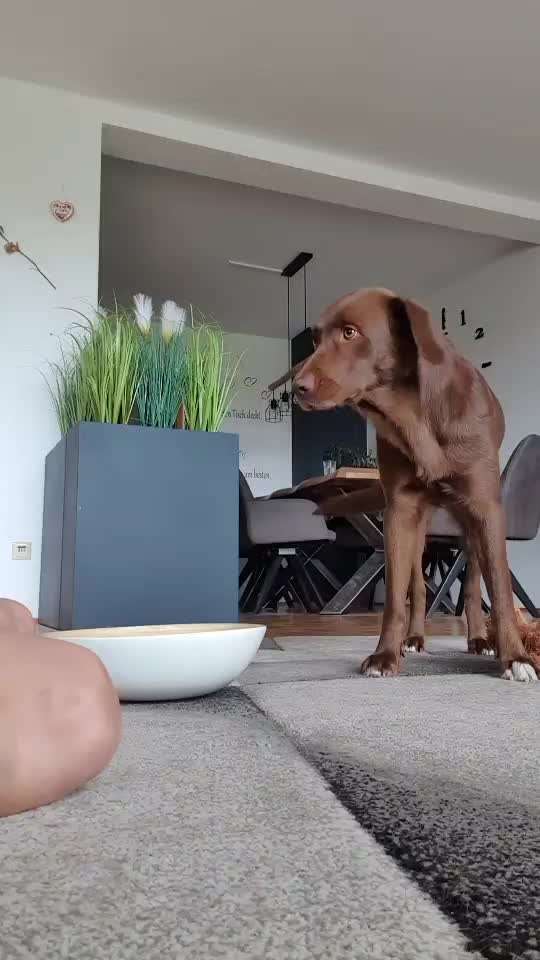 36. Trick-Challenge: Aufräumen!-Beitrag-Bild