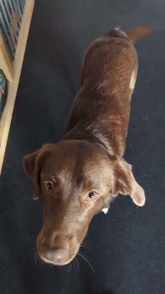 Koffer Packen: Spezial Weihnachtsedition-Beitrag-Bild