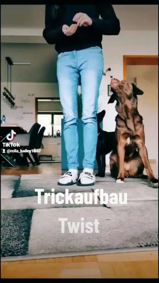 Trick Challenge Nr. 29 ,,TWIST"-Beitrag-Bild