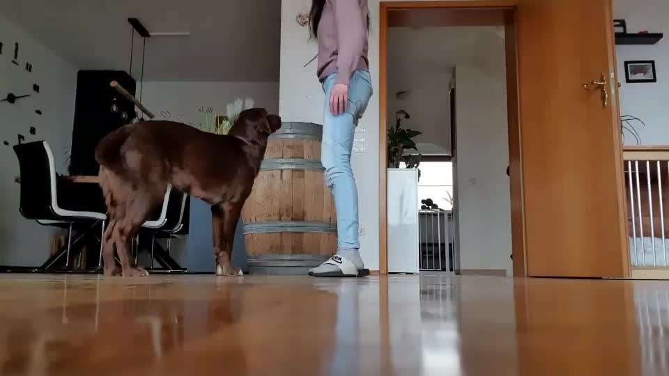 Trick Challenge ABC-Beitrag-Bild