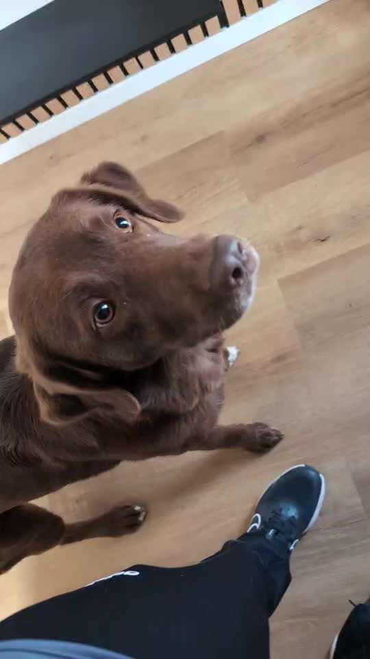 56. Impulskontrollchallenge : Ich warte auf dich !-Beitrag-Bild