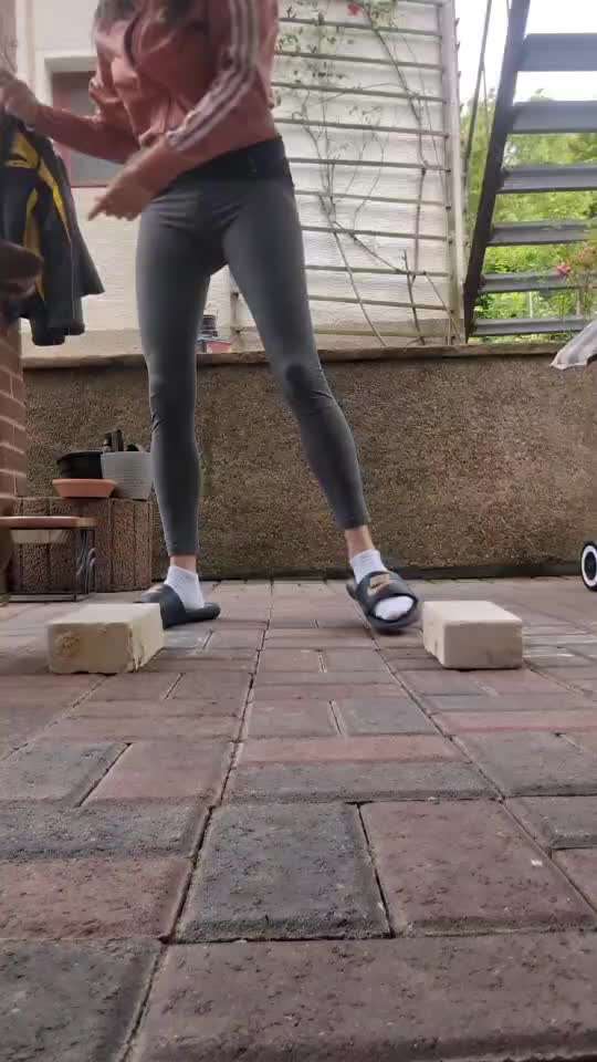 53. Gemeinsames Tricktraining :Taxi-Beitrag-Bild