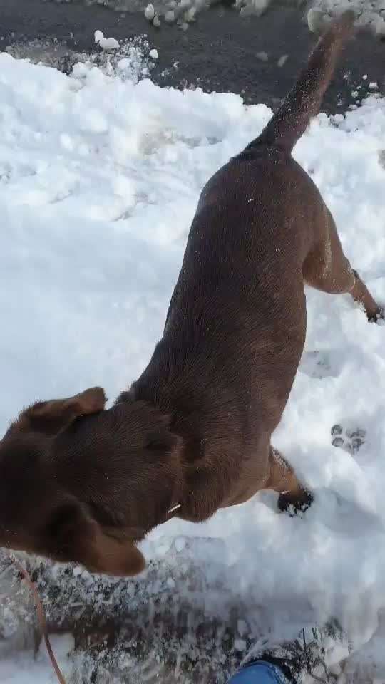 Trick Challenge ABC-Beitrag-Bild