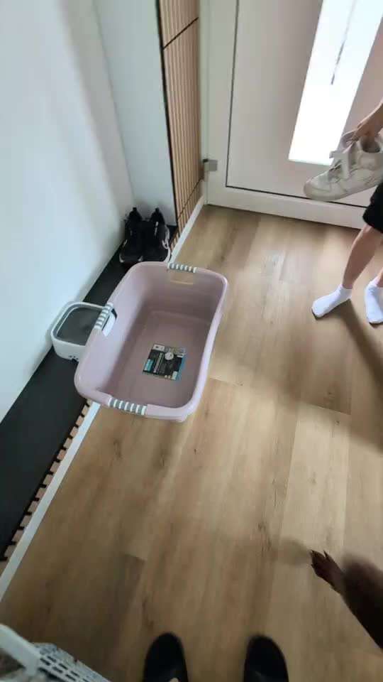 71. Gemeinsames Tricktraining: in etwas reinspringen-Beitrag-Bild