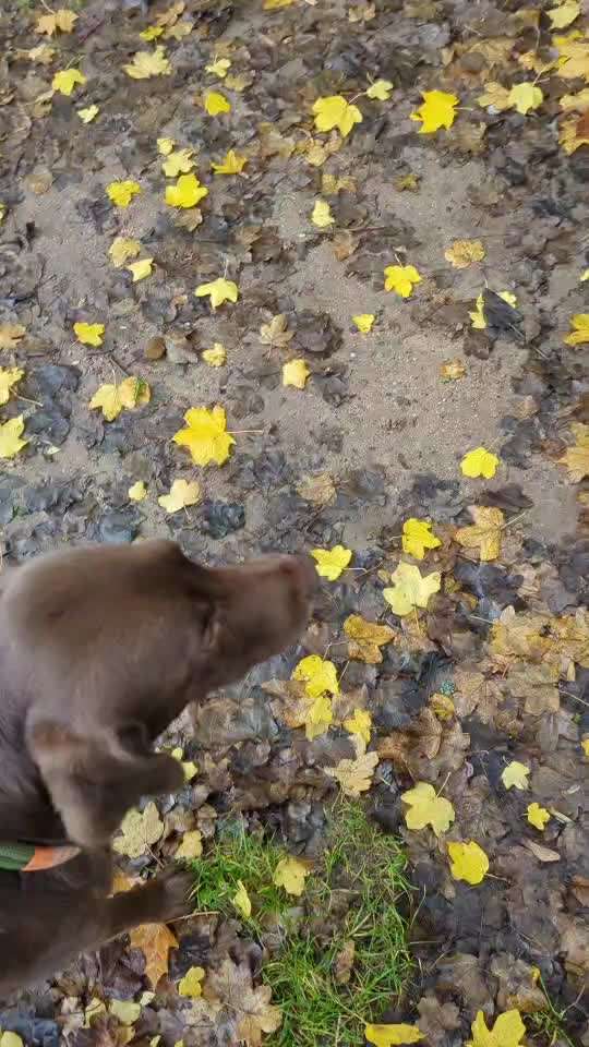 Trick Spiel - ich packe meinen 9. Koffer-Beitrag-Bild