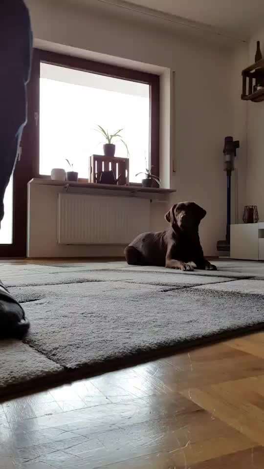 Trick Challenge Nr. 12-Beitrag-Bild