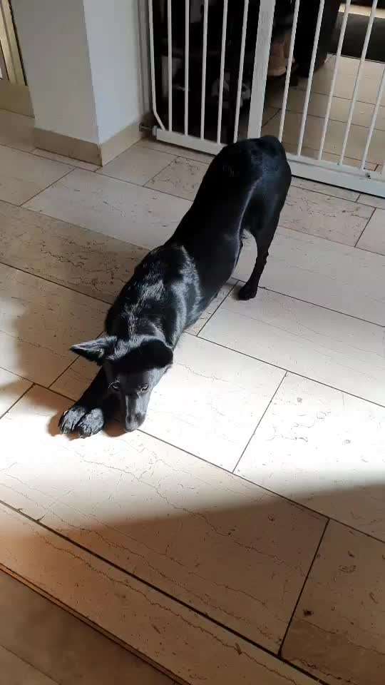 Gebetsstellung-Beitrag-Bild