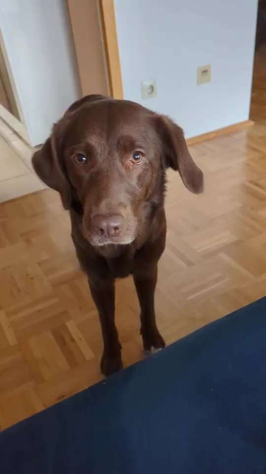 48. Papiertücher ziehen und bringen-Beitrag-Bild