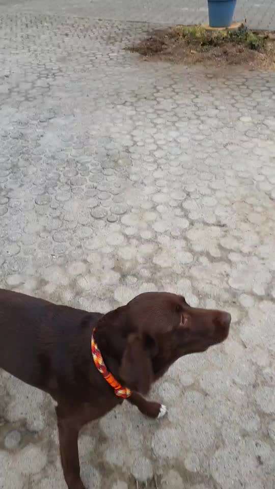 Trick Challenge ABC-Beitrag-Bild