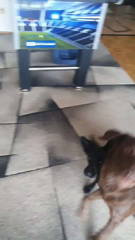 Trick Challenge ABC-Beitrag-Bild