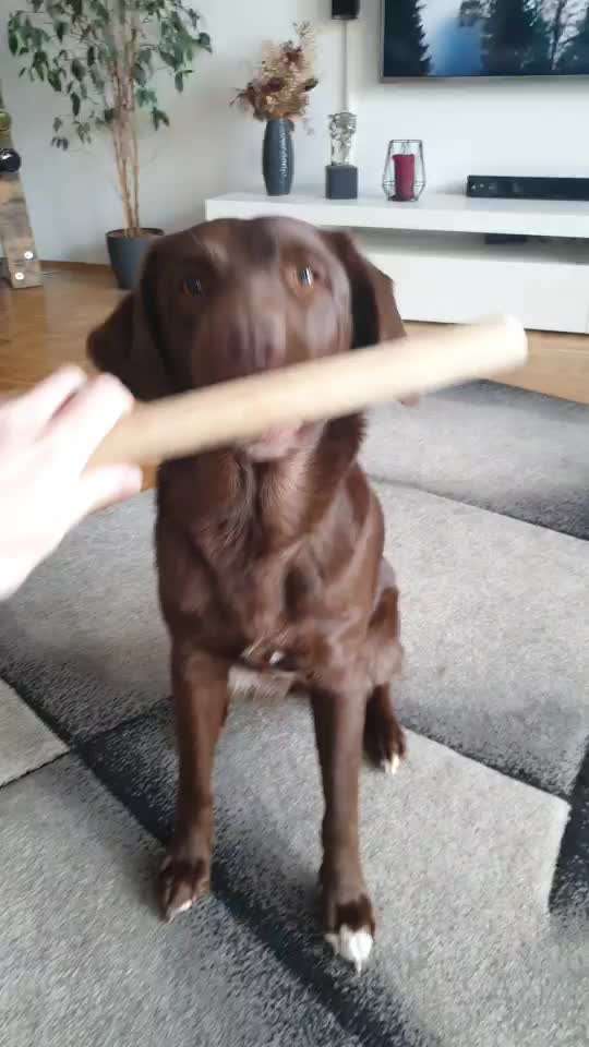 Trick Challenge ABC-Beitrag-Bild