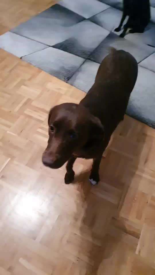 Trick Challenge ABC-Beitrag-Bild